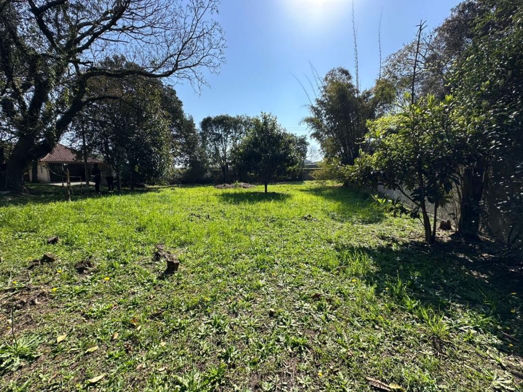 Terreno à venda, 13654 m² por R$ 2.300.000,00 - Roseira - São José dos Pinhais/PR - foto 5