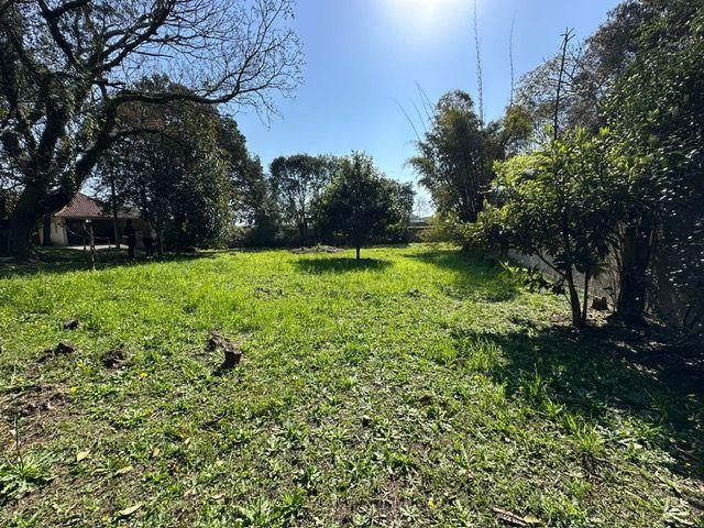 Área à venda, 13655 m² por R$ 2.300.000,00 - Roseira - São José dos Pinhais/PR - foto 3