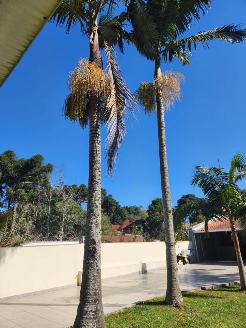 MARAVILHOSA CASA NO BARREIRINHA, TERRENO DE 1.000M E CONSTRUÇÃO 370,00M + 120M DE MUITO CONFORTO - foto 4