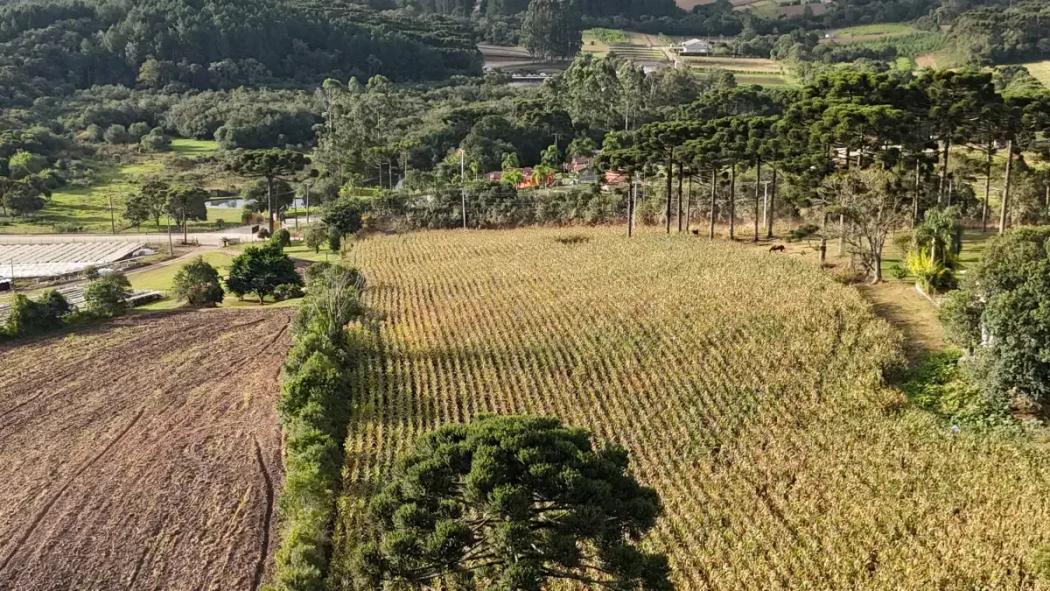 Chácara no Caminho do Vinho - foto 4