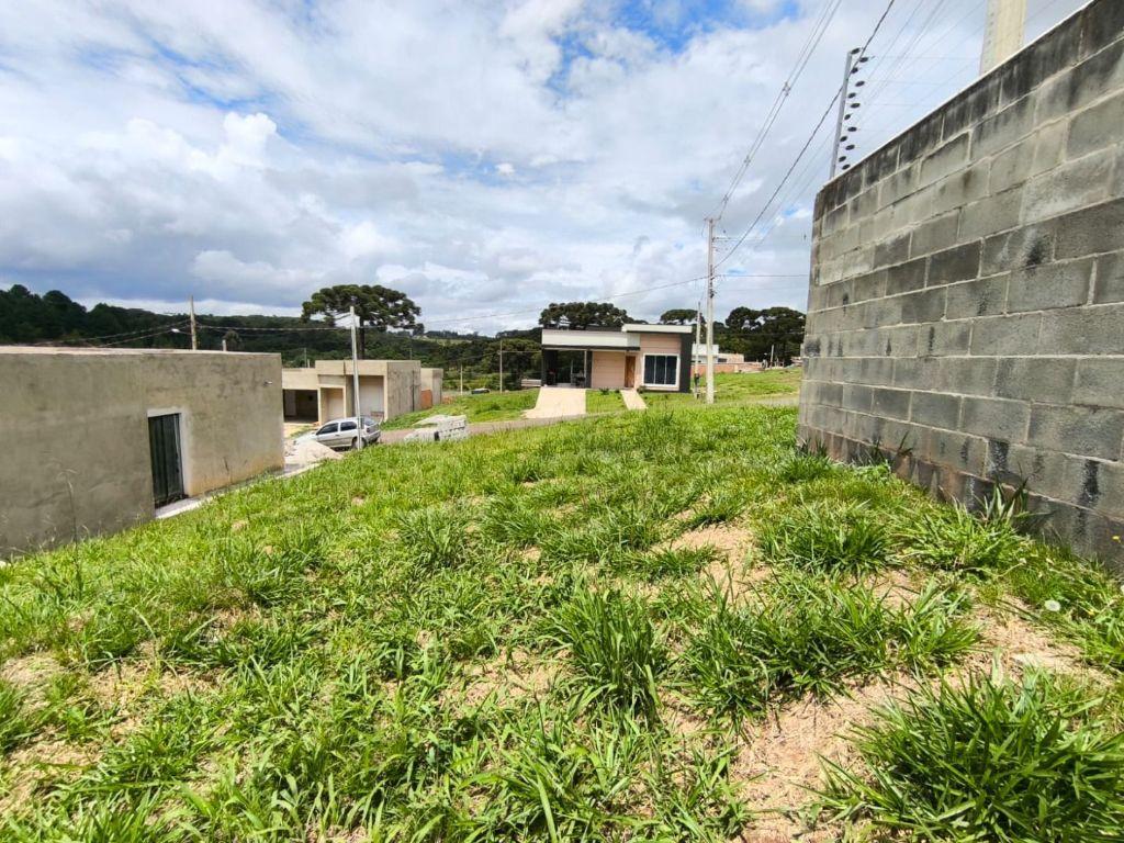 Terreno para venda, Paloma, Colombo, 35 - foto 5