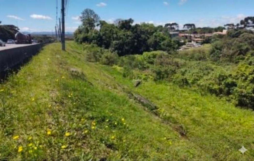 Terreno para venda, Barro Preto, São José Dos Pinhais - foto 5