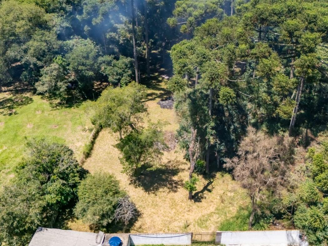 Terreno à venda, 2000 m² por R$ 2.220.000,00 - Umbará - Curitiba/PR - foto 5