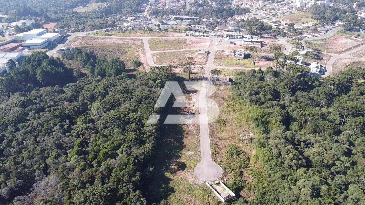 Terreno à venda, 367 m² por R$ 270.000,00 - Quatro Barras - Quatro Barras/PR - foto 3