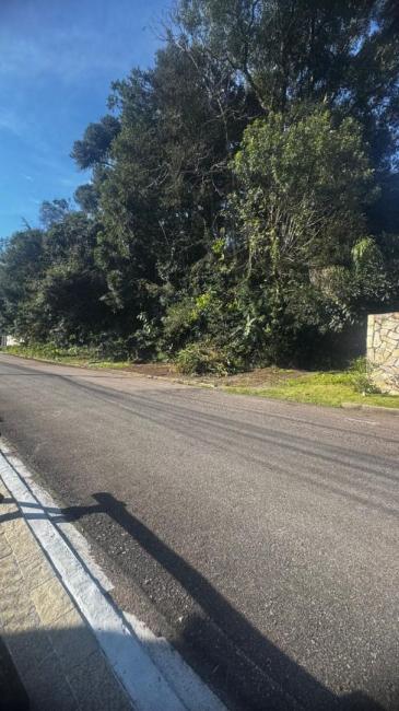 Terreno à venda, 3028 m² por R$ 2.299.900,00 - Santa Felicidade - Curitiba/PR - foto 3