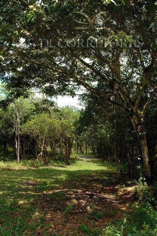 documentação OK, estudo de viabilidade para condominio de lotes com 550 unidades, ligue! - foto 5