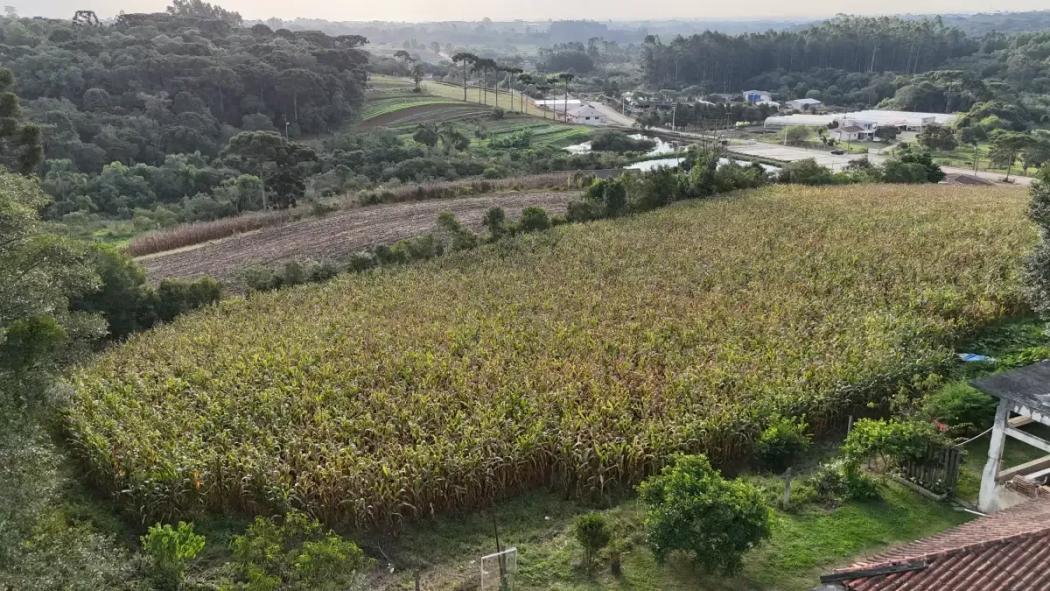 Chácara no Caminho do Vinho - foto 5