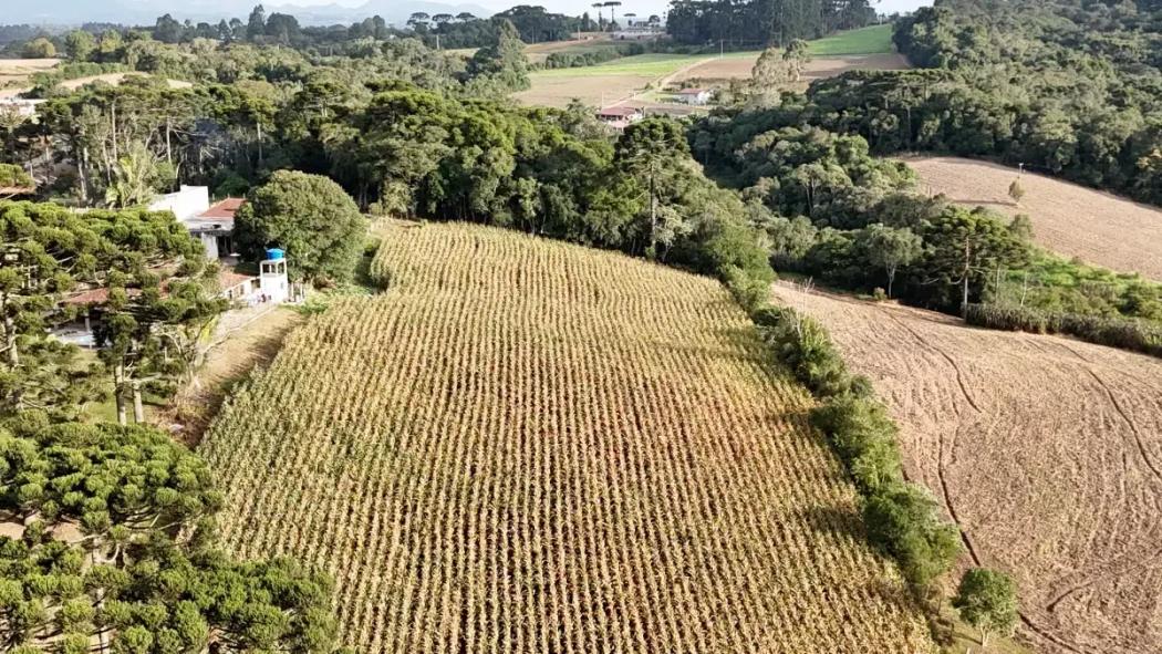 Chácara no Caminho do Vinho - foto 2
