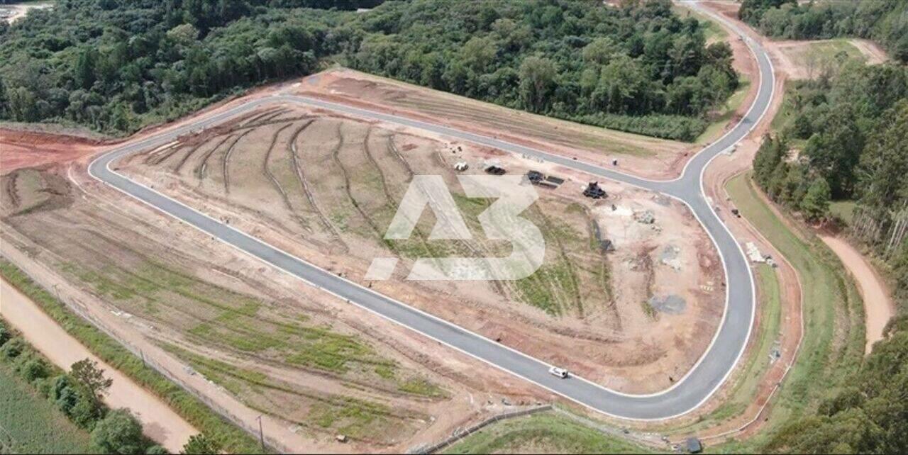 REVENDA ALPHAVILLE - Terreno à venda, 1121 m² por R$ 2.500.000 - Ferraria - Campo Largo/PR - foto 5