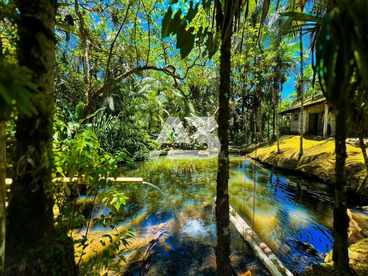 Chácara à venda, 21.500m² por R$ 629.000 - Rio Sagrado - Morretes/PR - foto 5