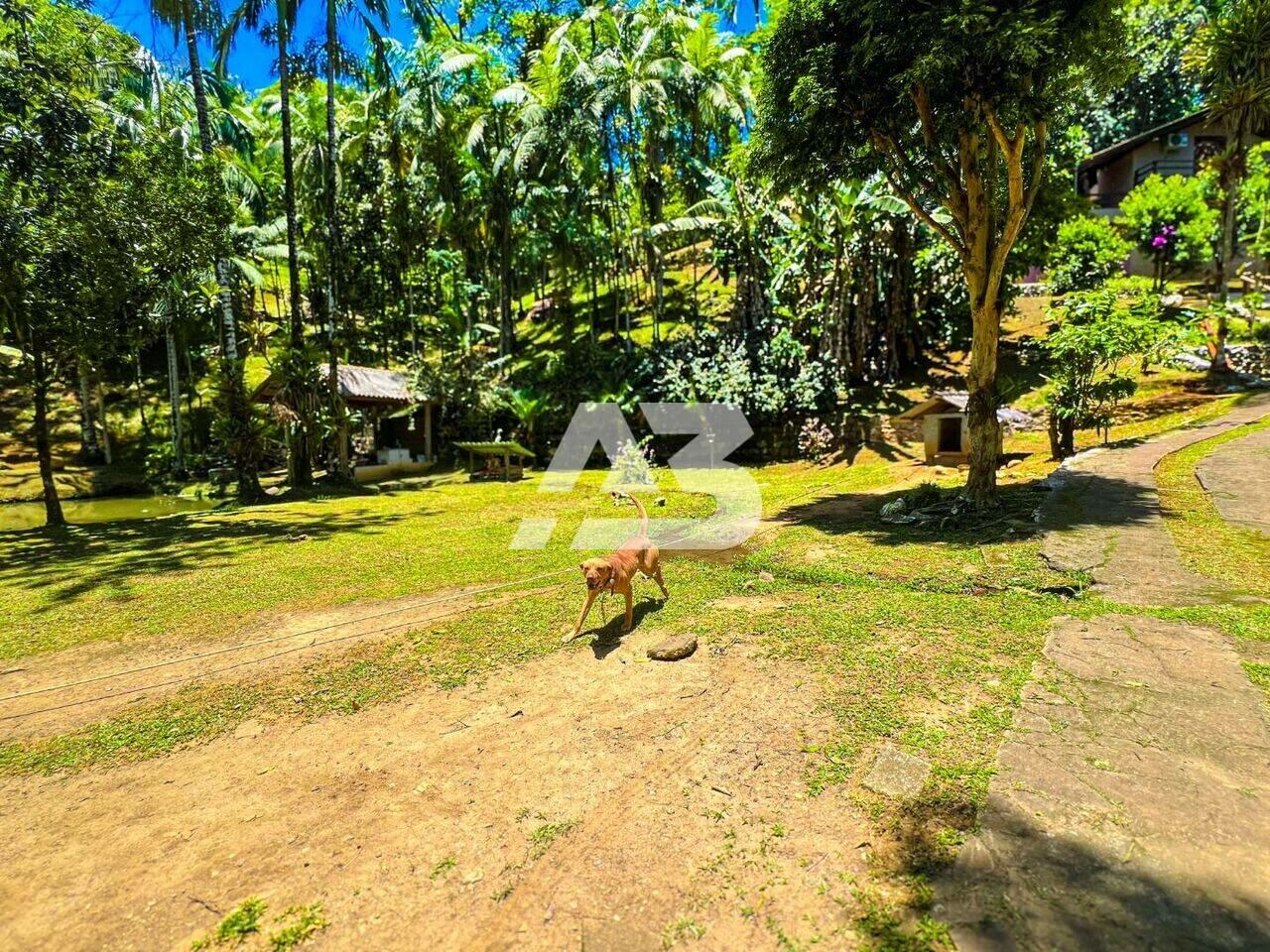 Chácara à venda, 21.500m² por R$ 629.000 - Rio Sagrado - Morretes/PR - foto 4