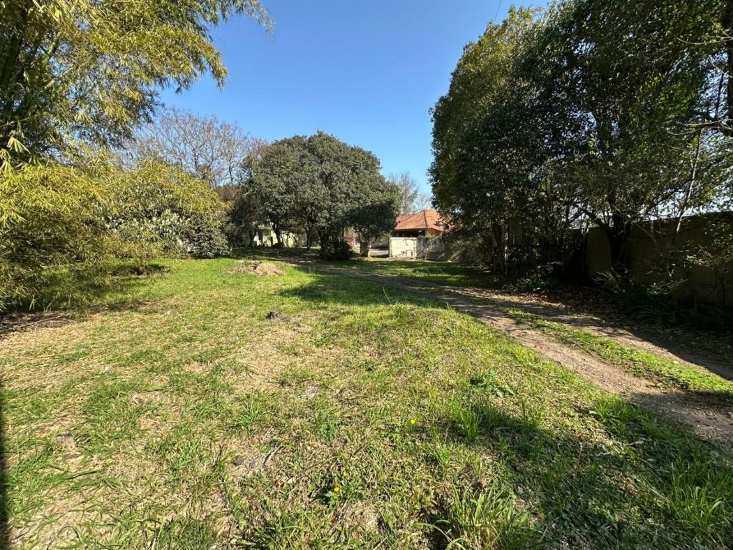 Chácara à venda, 13654 m² por R$ 2.300.000,00 - Roseira - São José dos Pinhais/PR - foto 3