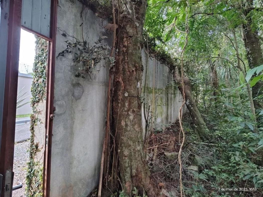 Terreno Residencial à venda, Santa Felicidade, Curitiba - TE0002. - foto 5