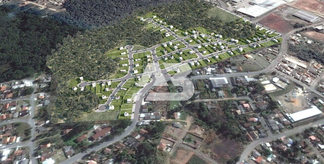 Terreno à venda, 367 m² por R$ 270.000,00 - Quatro Barras - Quatro Barras/PR - foto 2