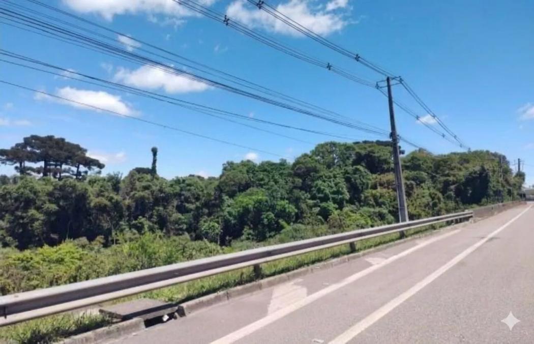 Terreno para venda, Barro Preto, São José Dos Pinhais - foto 3