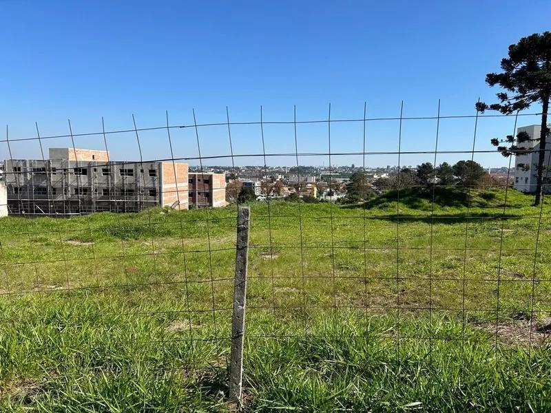 Area para Incorporaçao - 3.000m2 ou 6.000m² - Jardim Amelia - Pinhais - foto 2